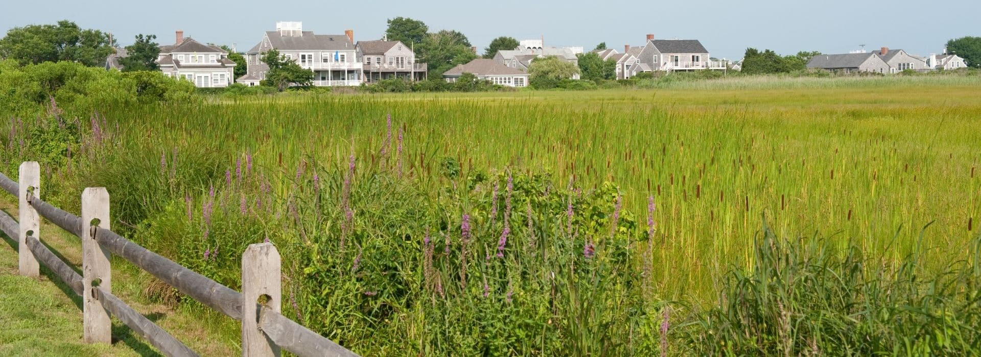 nantucket conservation land with houses in background