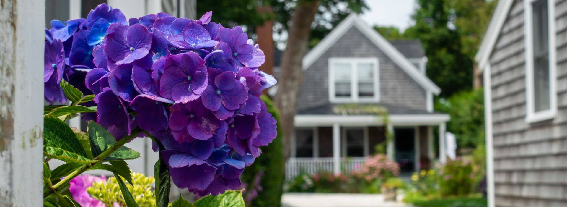 Seven Sea Street Inn: Bed and Breakfast in Nantucket Massachusetts