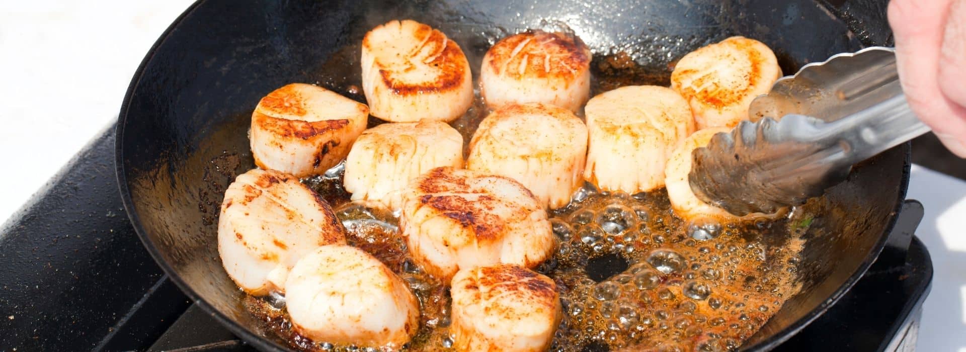 Fresh Nantucket bay scallops searing in a skillet during scalloping season