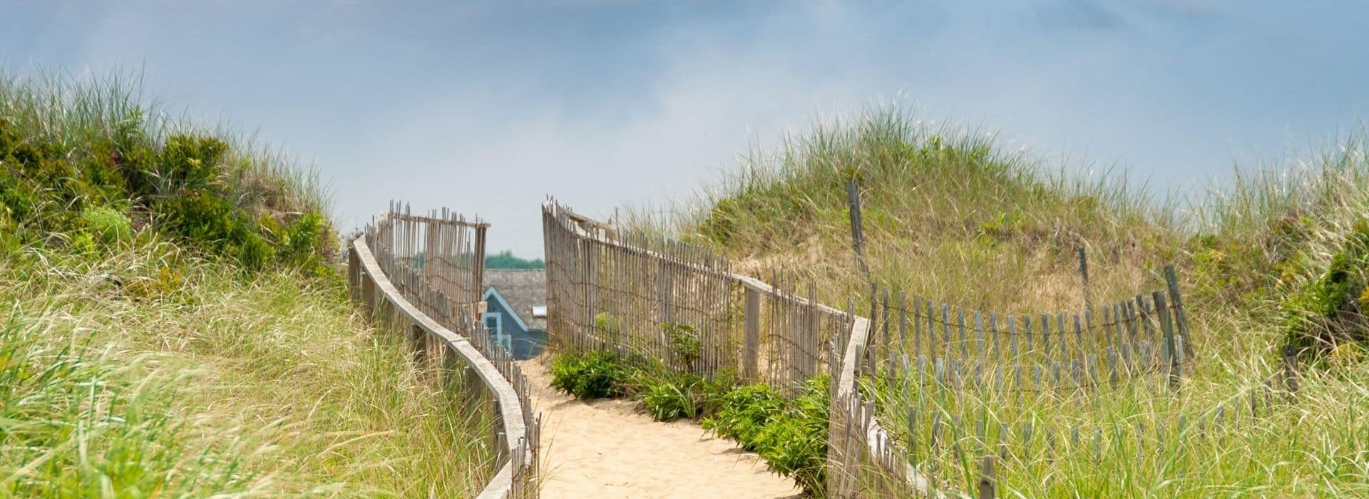 sandy walkway to nantucket beach with seagrass on either side
