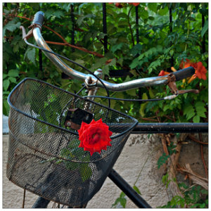 bicycle basket with red rose